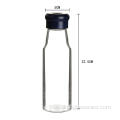 550ml Glasflasche mit Infuser